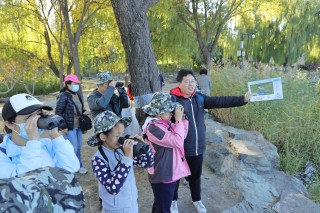 2020北京秋季观鸟月系列活动 走进秋色圆明园