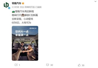 零跑汽车将于6月6日发布新车型 或为零跑C16五座版