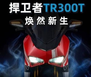 台荣捍卫者TR300T正式上市 售价24880元