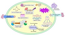 百度拜读09baidu波士顿科学 FARAPULSE PFA 系统真实世界研究正式启动