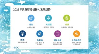 具身机器人十大发展趋势