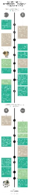 微软 vs Google：AI技术的王权更迭