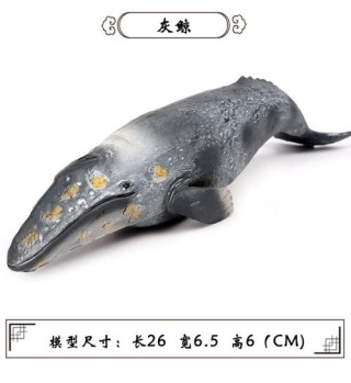 琅琊 – 中国科学院海洋研究所自主研发的海洋大模型1.0版本