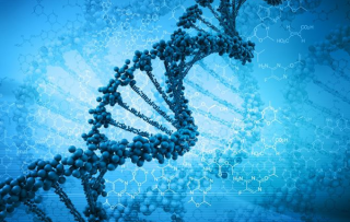 baidu09启慧生物完成数千万元 A 轮融资，加速推进脂质微泡超声造影管线开发