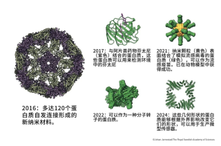 AI凭啥又得奖？就凭它半小时干完了几年的活