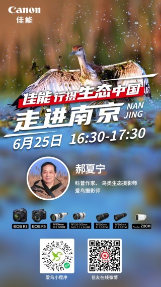 行摄生态中国 带你户外实拍凌波仙子