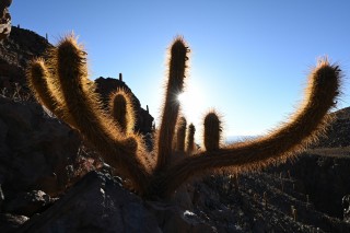 尼克尔 Z 20mm F1.8 S官方样张欣赏