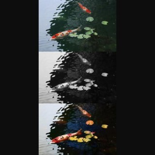 DDColor – 阿里推出的AI图像上色框架，将黑白图片变彩色