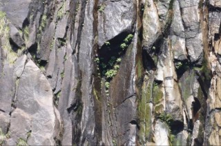 佳能发布RF100-500mm F4.5-7.1 L IS USML级RF超远摄变焦镜头