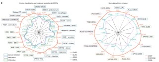 精准“算病”，AI检测癌症，准确率高达94%，研究登上Nature
