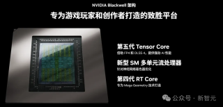 特供版RTX 5090D被曝不能「炼丹」！AI算力3秒锁死，不支持多GPU配置