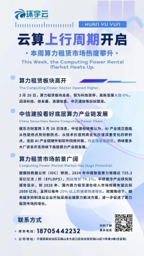 算力租赁市场爆发，H20遭疯抢！小心掉坑