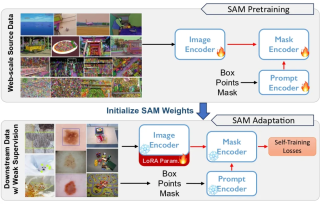 CVPR 2024 - 分割一切模型SAM泛化能力差？域适应策略给解决了