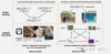 CVPR‘24：与任务无关的多模态数据也能提升Transformer性能｜港中文&amp;腾讯