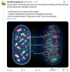 Karpathy最新脑洞「细菌编程」：优秀的代码应该具备细菌的三大特质