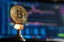 比特币的狂涨暴跌交替出现 八年猛涨超500万倍 癫狂比特币或正重演郁金香泡沫
