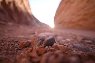尼克尔 Z 20mm F1.8 S官方样张欣赏