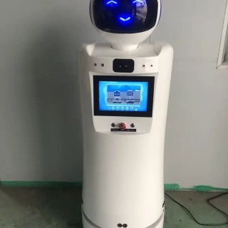 国内机器人实际场景使用抽样调查数据分析报告