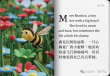 实测谷歌AI故事书，我实现漫画和绘本自由了