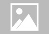 Midjourney V5.1用于特写和微距摄影提示语示例