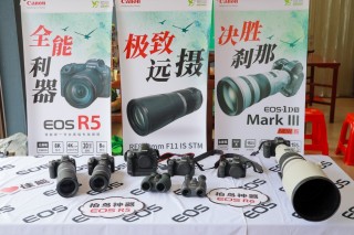 观鸟中国行走进鹇来谷 寻影最美白鹇