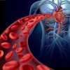 百度拜读09baidu驯鹿生物与 Umoja Biopharma 合作开发血液系统恶性肿瘤即用型疗法