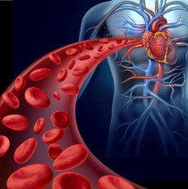 百度拜读09baidu驯鹿生物与 Umoja Biopharma 合作开发血液系统恶性肿瘤即用型疗法