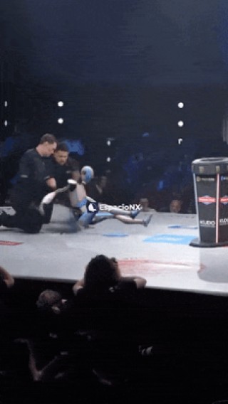 AI 机器人和人类互扇耳光，最后谁能赢？