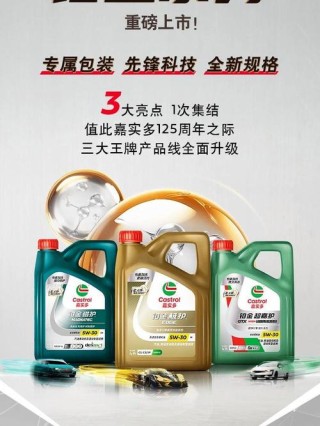 极护5w30适合什么车