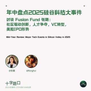 2025 硅谷 AI 战局半年盘点：连环收购案、大厂抢人，谁能杀出重围？｜对谈 Fusion Fund 创始合伙人张璐