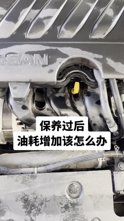 机油增多有什么危害？机油增多最好的处理方法