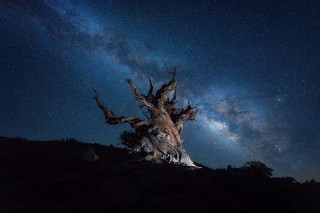 尼康尼克尔 Z 14-24mm f／2.8 S 官方实拍样张欣赏