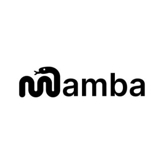 Falcon Mamba 7B – 首个通用Mamba开源AI大模型
