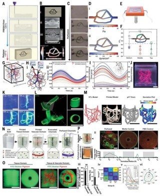 iDP3 – 斯坦福大学联合多所高校推出的改进型3D视觉运动策略