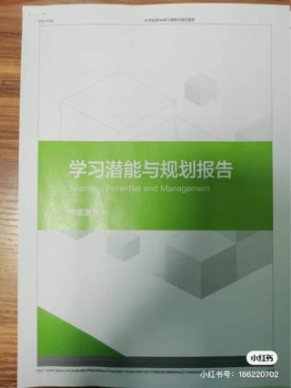 Dive3D – 北大联合小红书推出的文本到3D生成框架