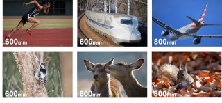 佳能发布RF600mm F11 IS STM及RF800mm F11 IS STMRF超远摄定焦镜头