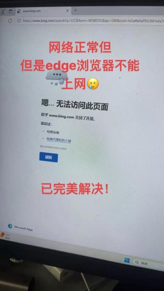 浏览器显示域名解析错误怎么解决？网页打不开显示域名解析错误解决教程