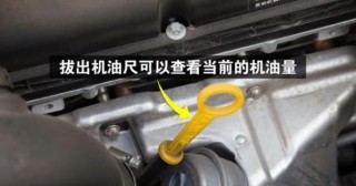 车刚熄火能加机油吗，停车多久看机油尺最好