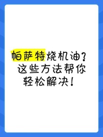 汽车烧机油怎么处理，处理烧机油最快办法