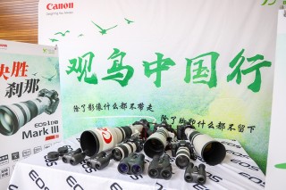 水天一色鸟相依 EOS寻影池杉湖