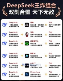 DeepSeek上月收入首次覆盖运营成本