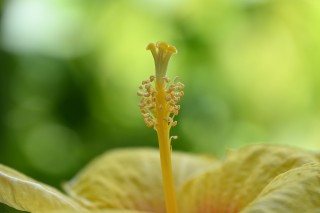 尼康尼克尔 Z DX 18-140mm f／3.5-6.3 VR官方实拍样张欣赏