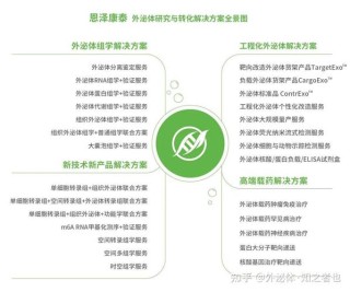 百度拜读09baidu致力于外泌体技术开发与临床转化，恩泽康泰完成数千万元 A++ 轮融资