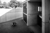 徕卡 M10-P、M10-R 和 M10 Monochrom 相机发布新固件