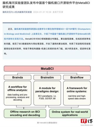 Meta非入侵式脑机技术实现80%打字准确率