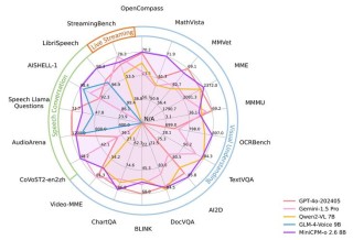 Apollo – Meta 联合斯坦福大学推出的大型多模态模型