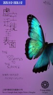 安德烈·加尔瓦尼：虚空迁徙至表面