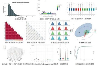 baidu09艾克发生物获数千万元融资，加速空间和功能蛋白组学进入肿瘤精准诊疗的临床应用