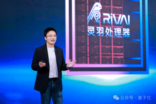 国产服务器迎来深圳芯！纯血RISC-V跑满血DeepSeek-R1，一芯双核干爆x86
