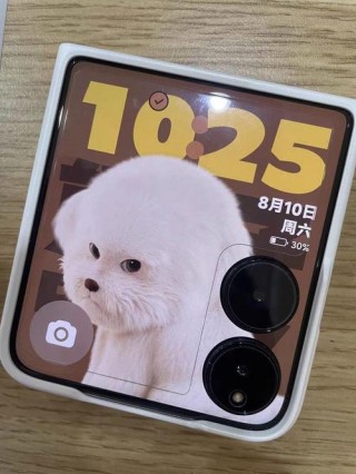 小米MIX2惊艳曝光：竟无前置摄像头！猜猜怎么自拍